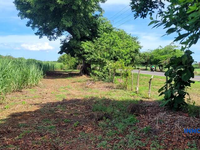 #66 - Finca Agrícola para Venta en Chinandega - Chinandega - 2