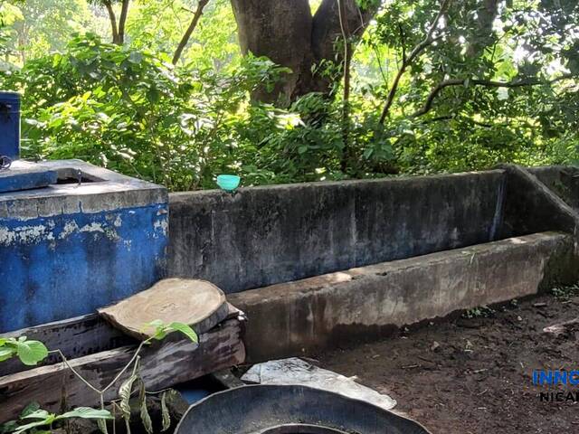 #64 - Finca Ganadera para Venta en Chinandega - Chinandega - 2