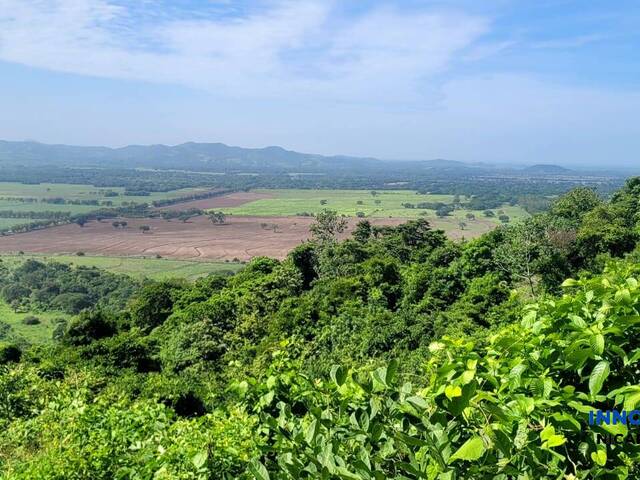 #64 - Finca Ganadera para Venta en Chinandega - Chinandega - 3