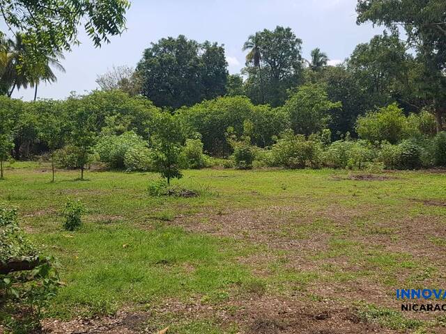 #67 - Terreno para Venta en Chinandega - Chinandega