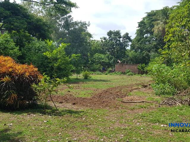 #67 - Terreno para Venta en Chinandega - Chinandega