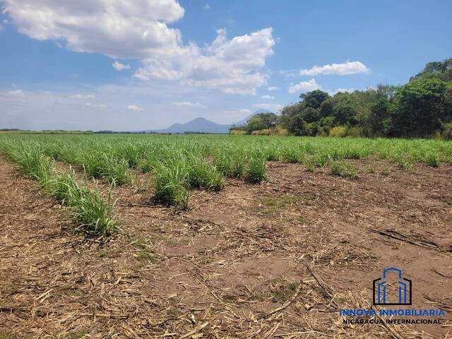 para en - 2