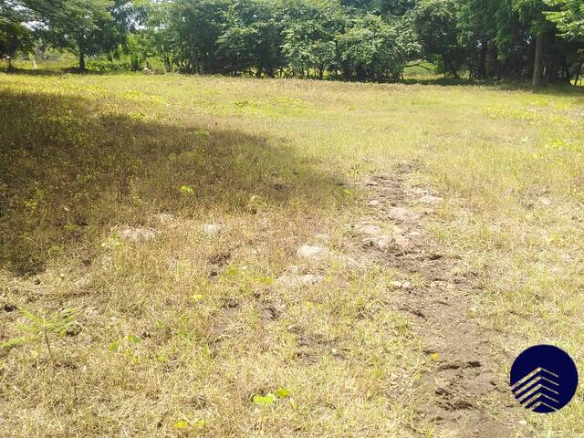 #89 - Finca Agrícola y Ganadera para Venta en Chinandega - Chinandega - 3