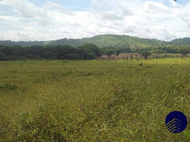 #89 - Finca Agrícola y Ganadera para Venta en Chinandega - Chinandega - 2