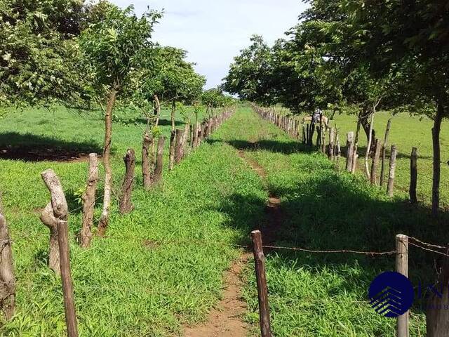 #92 - Finca Agrícola y Ganadera para Venta en Managua - Managua