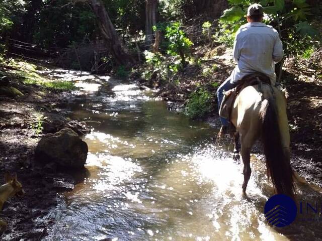 #92 - Finca Agrícola y Ganadera para Venta en Managua - Managua